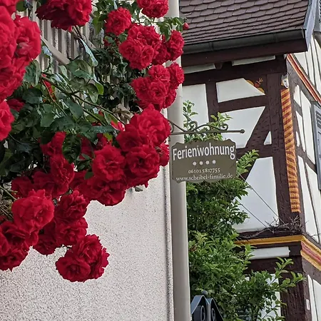 Familie Scheibel Appartement